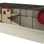 Ratten Käfige kaufen